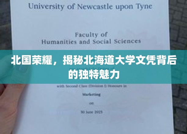 北国荣耀，揭秘北海道大学文凭背后的独特魅力