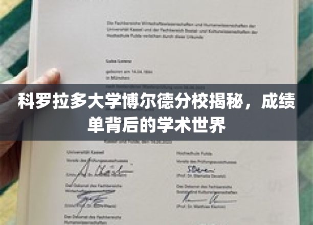 揭开科罗拉多大学博尔德分校，成绩单背后的学术奥秘
