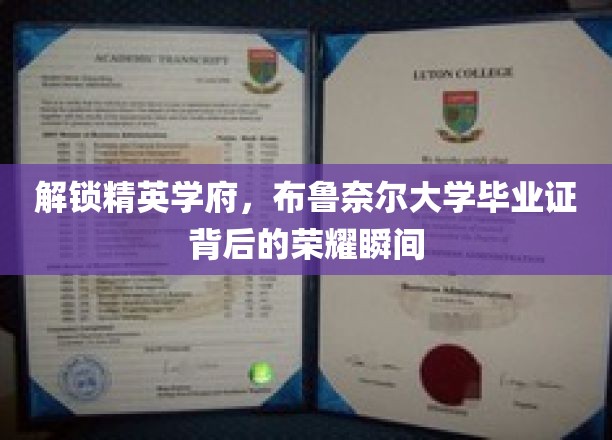 解锁精英学府，布鲁奈尔大学毕业证背后的荣耀瞬间