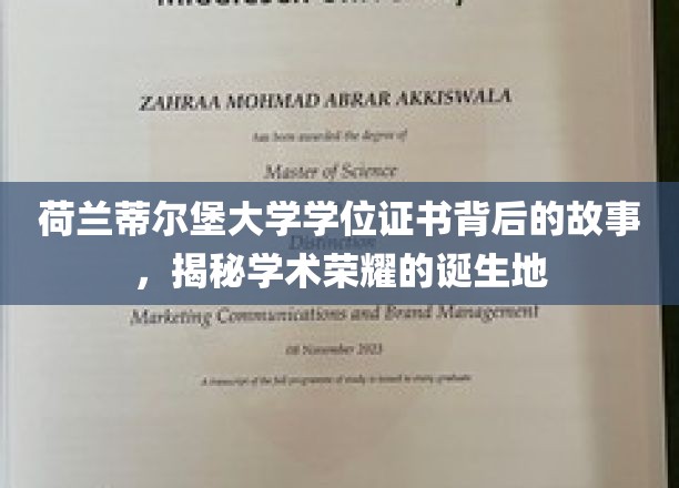 揭开荷兰蒂尔堡大学学位证书的荣耀之谜，学术殿堂的传承传奇