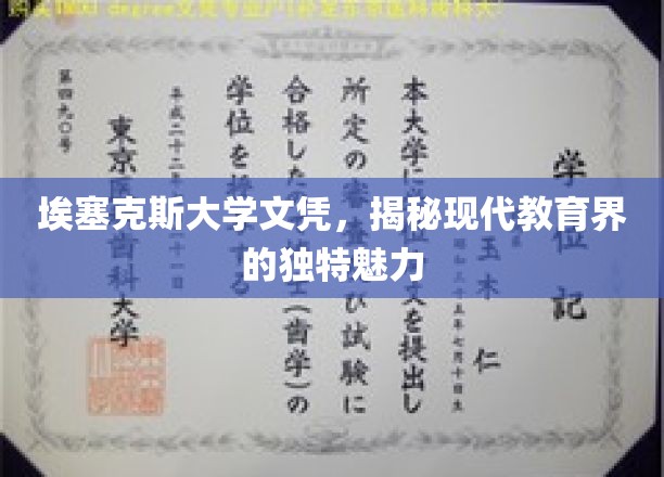 埃塞克斯大学文凭，揭秘现代教育界的独特魅力