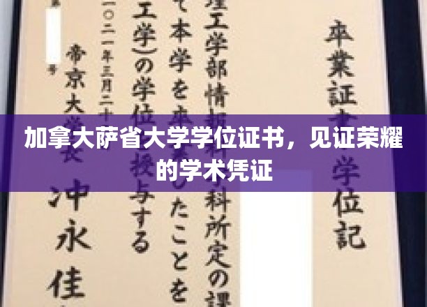 加国荣耀凭证，萨省大学学位证书，成就非凡学途里程碑
