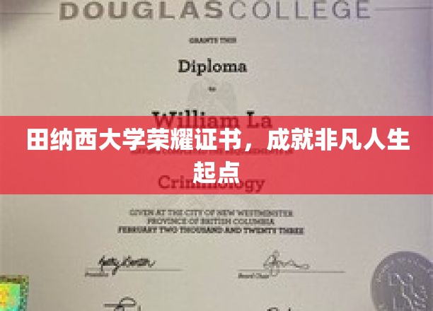 田纳西大学荣耀证书，成就非凡人生起点