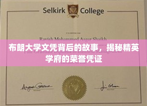 布朗大学文凭背后的荣耀密码，揭秘精英学府的非凡荣耀