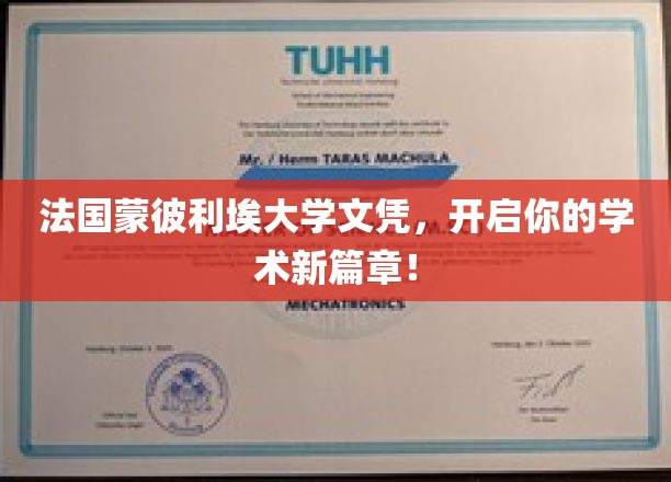 法国蒙彼利埃大学文凭，开启你的学术新篇章！