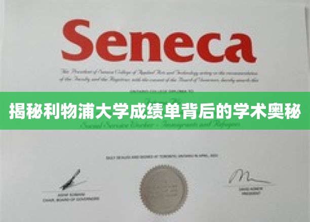 探寻利物浦大学成绩单背后的学术秘密宝藏