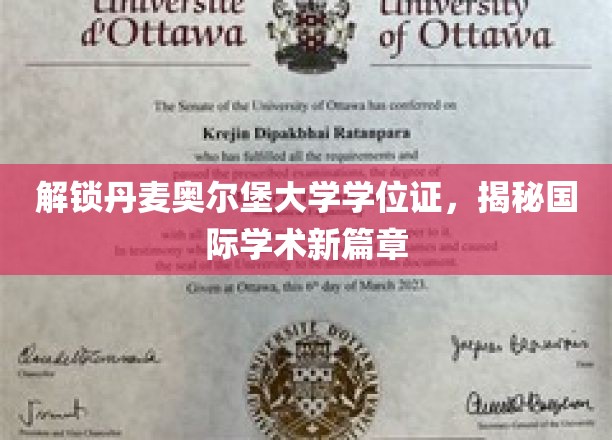 探秘丹麦奥尔堡，解锁学位证背后的国际学术之旅