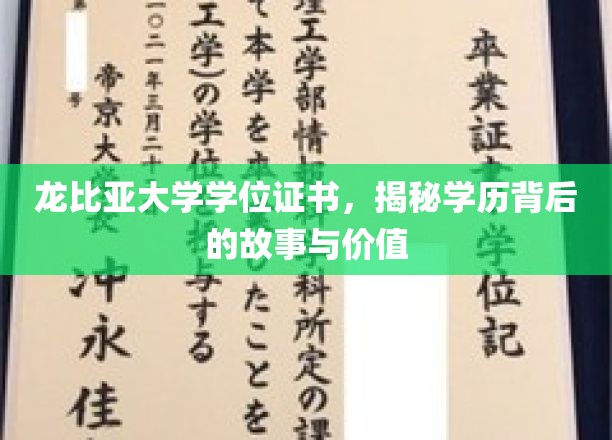 龙比亚大学学位证书，揭开学历背后的故事与价值