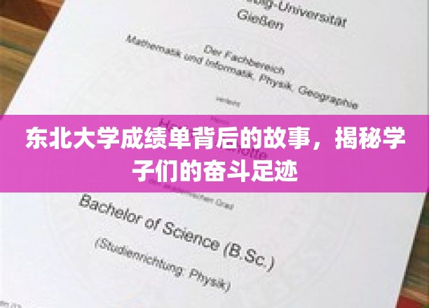东北大学学子奋斗轨迹，一纸成绩单背后的青春传奇