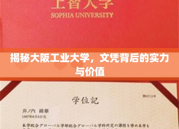 揭秘大阪工业大学，文凭背后的实力与价值