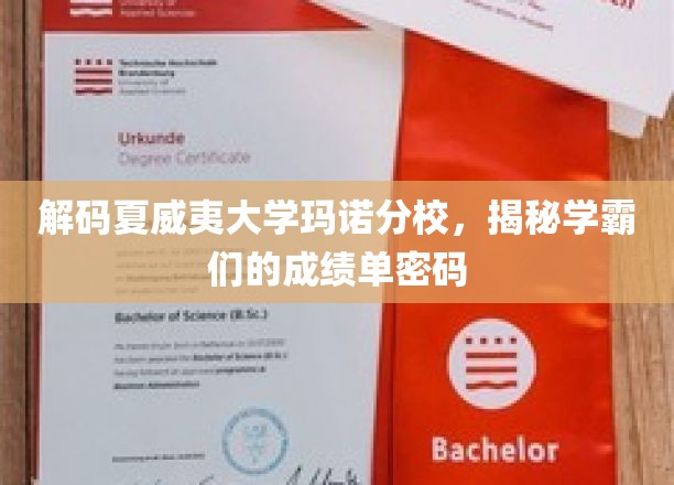 夏威夷大学玛诺分校学霸秘籍，解码卓越成绩单背后的奥秘