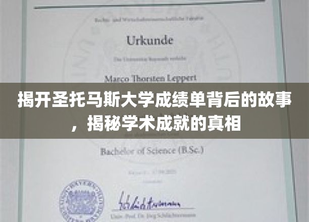 探索圣托马斯大学成绩单的神秘面纱，揭开真实学术成就的奥秘