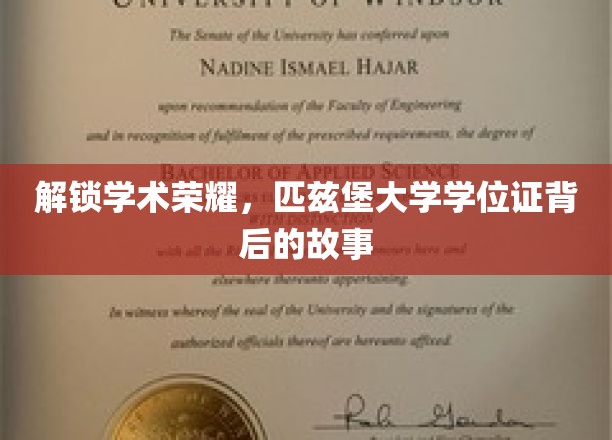 解锁学术荣耀，匹兹堡大学学位证背后的故事