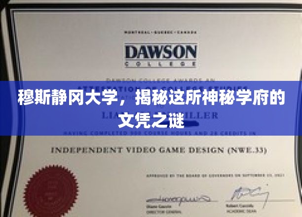 探索穆斯静冈，揭秘文凭背后的学府传奇