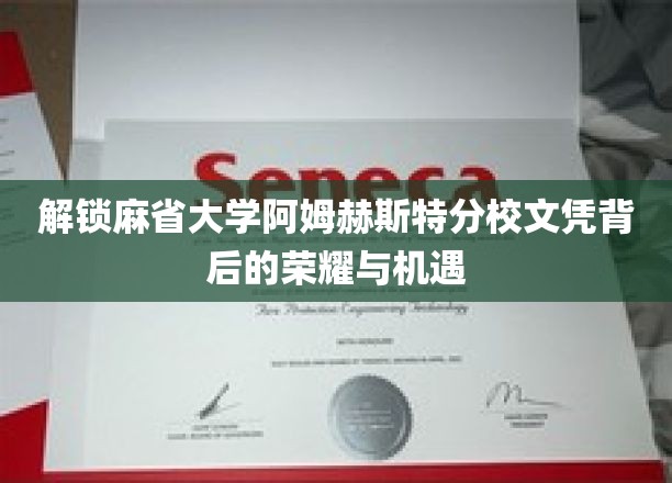 探索麻省大学阿姆赫斯特文凭的非凡价值与无限可能