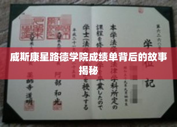 威斯康星路德学院成绩单背后的故事揭秘