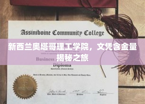 探索新西兰奥塔哥理工学院，文凭背后的价值奥秘之旅
