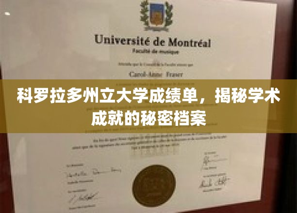 科罗拉多大学成绩单揭秘，探索学术卓越的幕后秘籍
