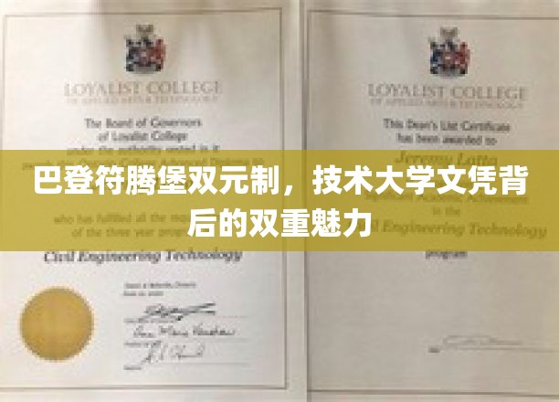 探索巴登符腾堡双元制，技术大学文凭的双重吸引力与独特价值