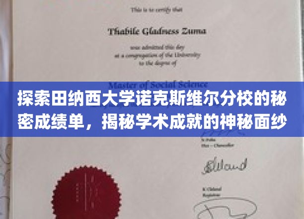 揭开田纳西大学诺克斯维尔分校学术成就的神秘面纱，一窥非凡成绩单背后的秘密