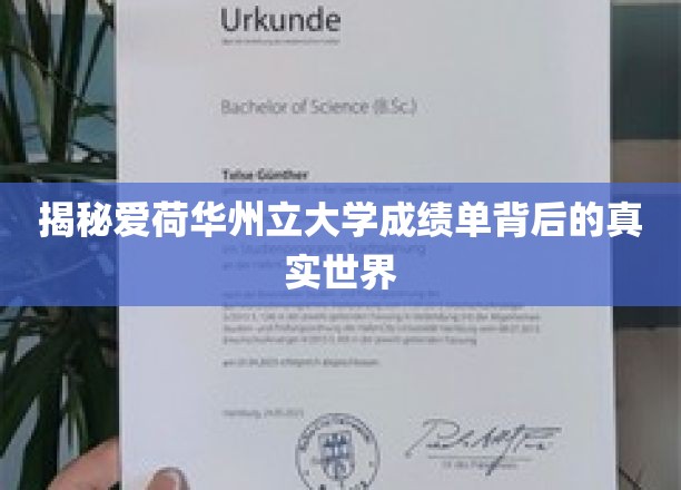 揭秘爱荷华州大成绩单，一窥学术与生活的双重奥秘