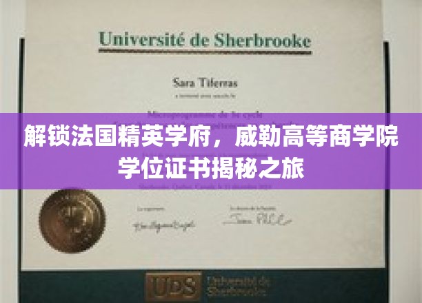 探寻法国顶尖学府威勒高等商学院，学位证书背后的神秘世界