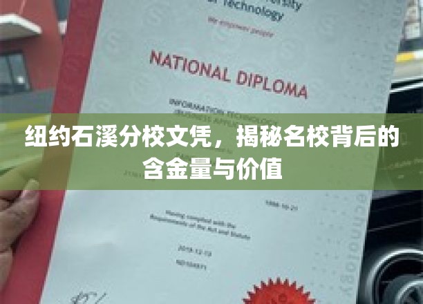 纽约石溪分校文凭，探秘名校背后的含金量与价值