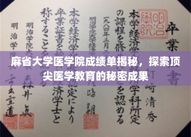 麻省医学院学霸成绩单曝光，揭秘精英医学教育的卓越成就