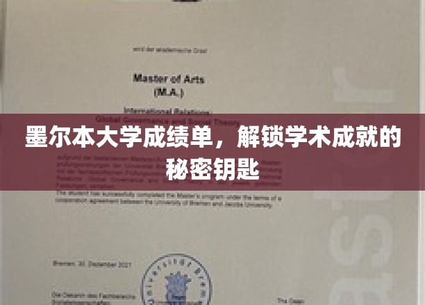 墨大成绩单揭秘，解锁个人学术成就的神秘钥匙