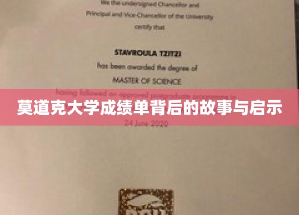 解码莫道克大学成绩单，探寻教育背后的深刻启示