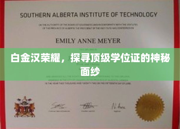 揭开白金汉荣耀，探寻顶级学位证的神秘光环