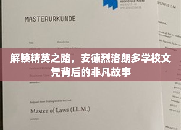 解锁精英之路，安德烈洛朗多学校文凭背后的非凡故事