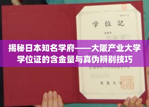 解码大阪产业大学学位证，价值与鉴定攻略全解析