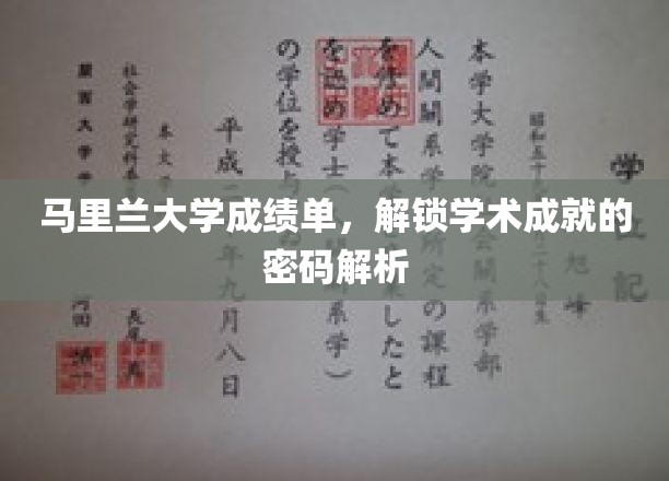 马里兰大学成绩单，解锁学术成就的密码解析