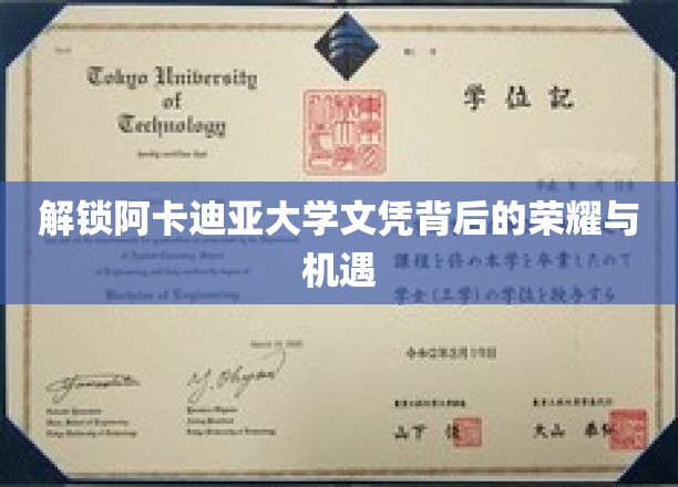 阿卡迪亚大学文凭，揭开荣耀与未来机遇的神秘面纱