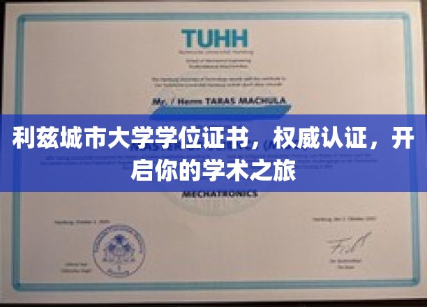 利兹城市大学学位证书，解锁学术巅峰之旅