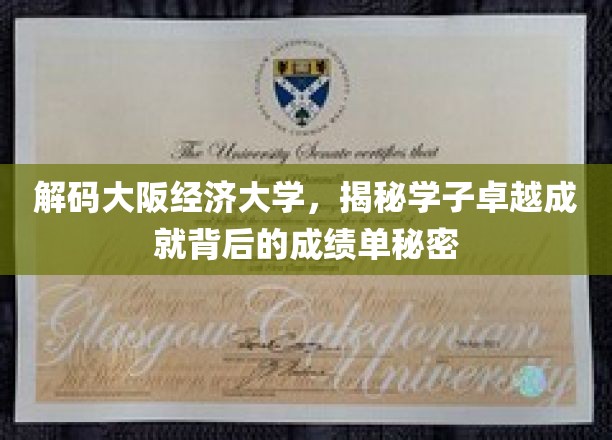 揭开大阪经济大学学子辉煌成就的秘密档案