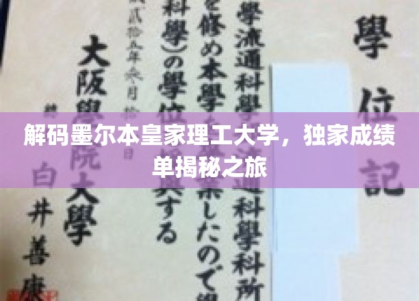 解码墨尔本皇家理工大学，独家成绩单揭秘之旅