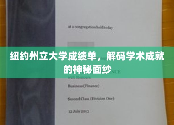 解锁学术殿堂，纽约州立大学成绩单背后的精彩故事