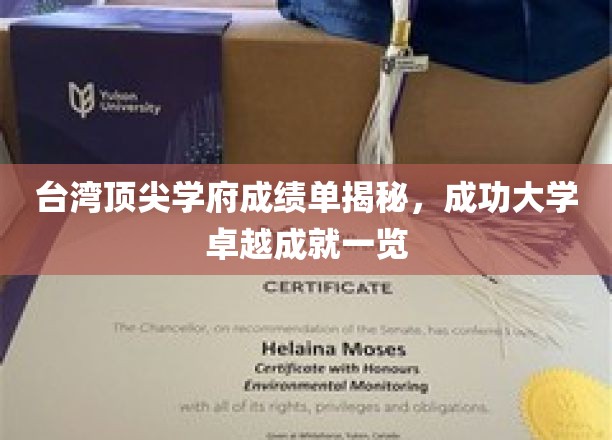 台湾顶尖学府成绩单揭秘，成功大学卓越成就一览