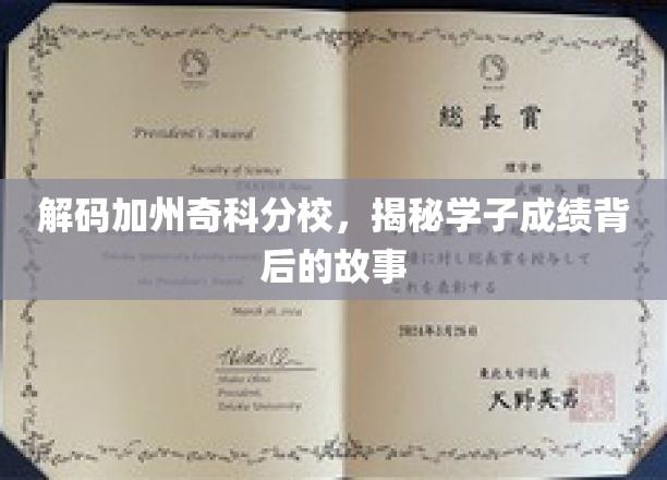 加州奇科分校学霸养成记，揭秘成绩背后的独特魅力