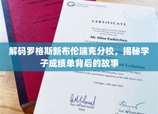 探索罗格斯新布伦瑞克，揭开学子辉煌成绩背后的秘密篇章