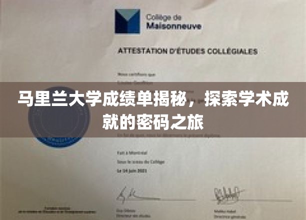 马里兰大学成绩单解码，探寻学术成功的神秘线索