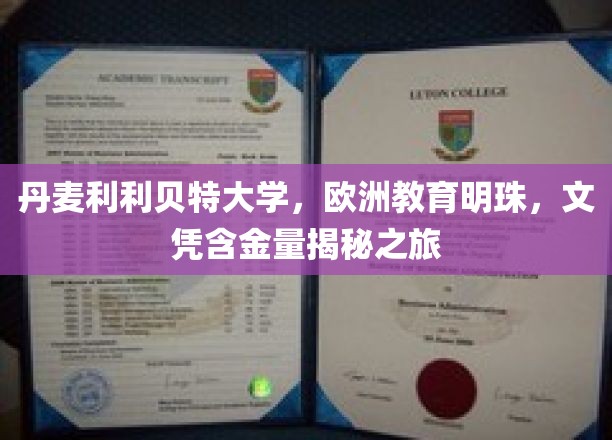 探寻欧洲教育瑰宝，揭秘丹麦利利贝特大学文凭的非凡价值