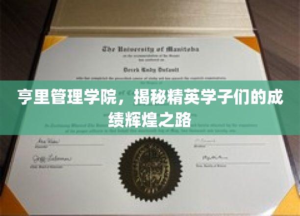解码亨里精英，学子辉煌成就背后的成长轨迹