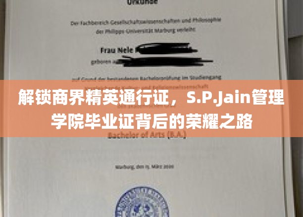 商界荣耀启航，S.P.Jain管理学院毕业证背后的精英成长轨迹