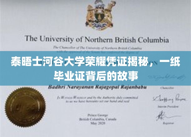 泰晤士河谷大学毕业证背后的传奇，揭秘一纸荣耀的诞生之路