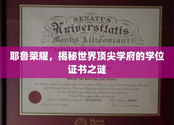 探寻耶鲁荣耀，揭秘顶级学府学位证书的神秘面纱