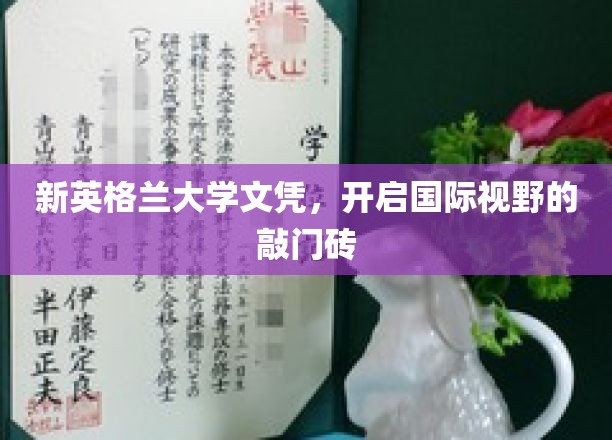 跨越国界的学历通行证，新英格兰大学文凭，拓宽全球视野的金钥匙