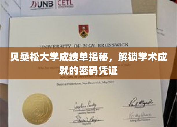 贝桑松大学成绩单揭秘，解锁学术成就的密码凭证